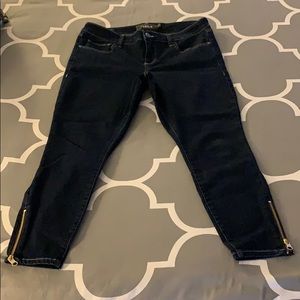 Torrid jeans